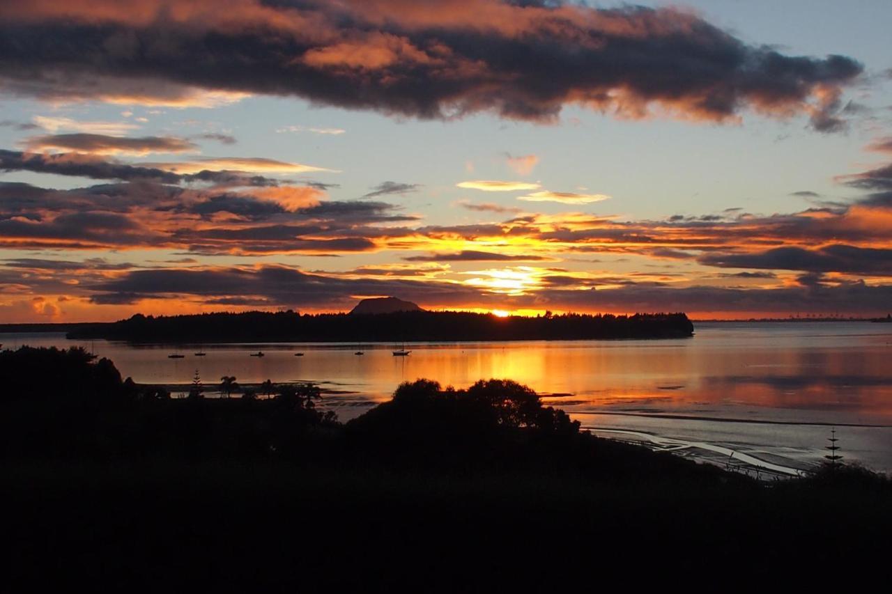 Mangawhai Bay B&B Omokoroa エクステリア 写真